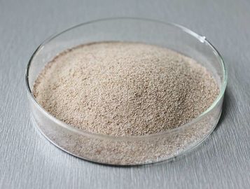 detergent enzyme